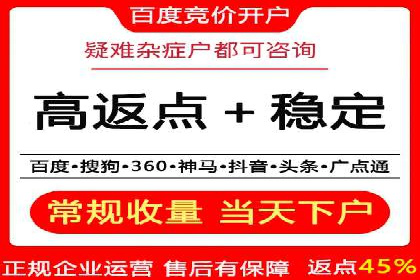 竞价广告在XX行业的成功应用案例