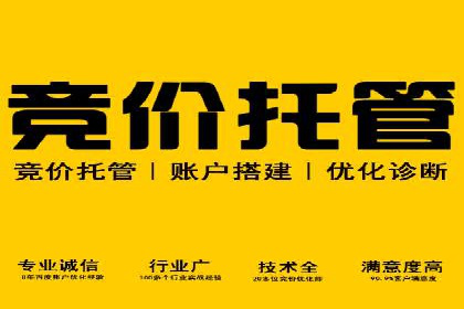 SEM账户托管助力企业业绩增长案例